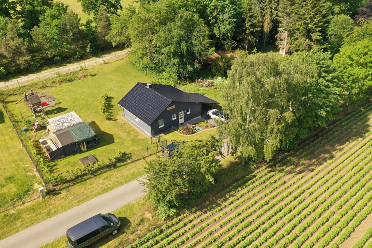 Ferienhaus “ Lille Hyggehytte“ Altenmedingen ภายนอก รูปภาพ